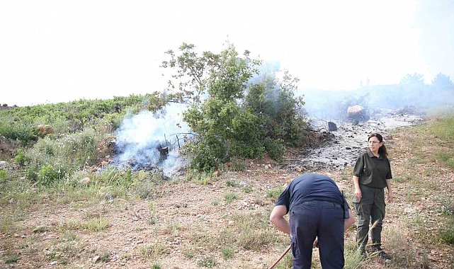 Alanya'da makilik alanda yangın