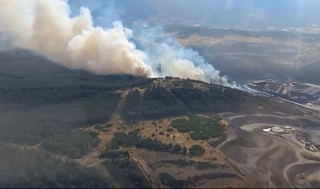 Aliağa'da ormanlık alandaki yangın kontrol altında
