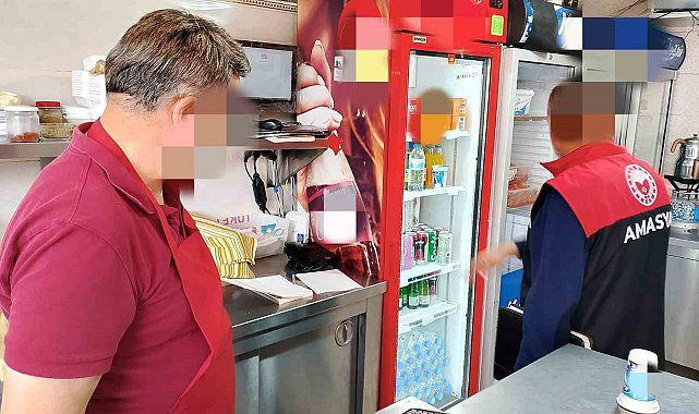 Amasya'da 26 tavuk dönerciye 9,5 milyon TL'den fazla ceza yağdı