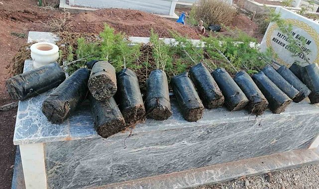 Anneler Günü'nde mezarlıkları yeşillendirdiler