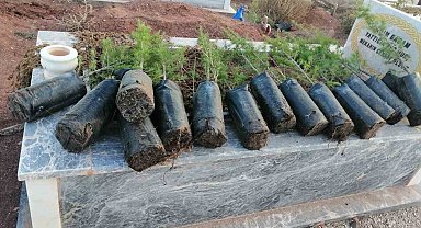 Anneler Günü'nde mezarlıkları yeşillendirdiler