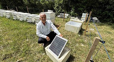 Antalya'da arı kovanlarına dadanan ayılara elektrik telli önlem