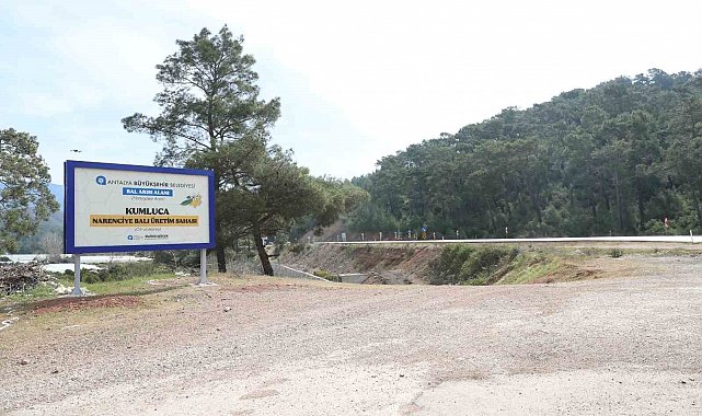 Antalya'da narenciye balı için coğrafi işaret tescil çalışması