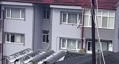 Antene sıkışan karga itfaiye erlerinin yardımıyla özgürlüğüne kavuştu