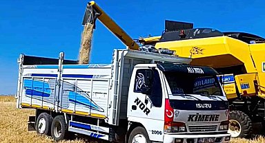 Araban'da, 2025 yılının ilk buğday hasadı yapıldı