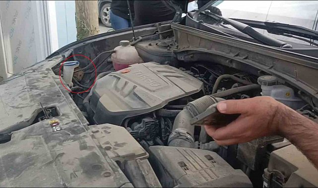 Aracın motoruna giren yavru kedi telefondan miyavlama sesi açılarak çıkartıldı