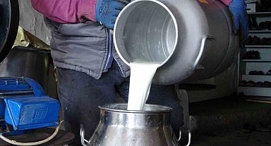 Ardahan'da süt üreticileri düşük fiyatlardan şikâyetçi