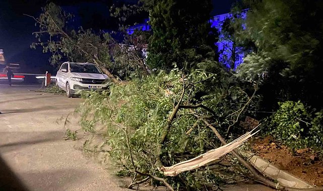 Artvin'de fırtına çatıları uçurdu, ağaçlar devrildi