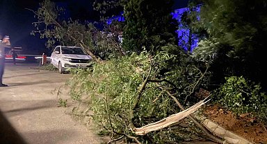 Artvin'de fırtına çatıları uçurdu, ağaçlar devrildi