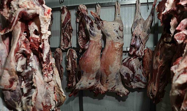 At ve eşek eti haberleri Adanalıları rahatsız etti