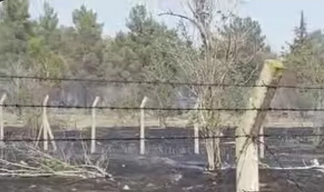 Atatürk Barajında korkutan yangın