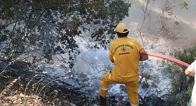 Ateş savaşçıları alevlere geçit vermedi