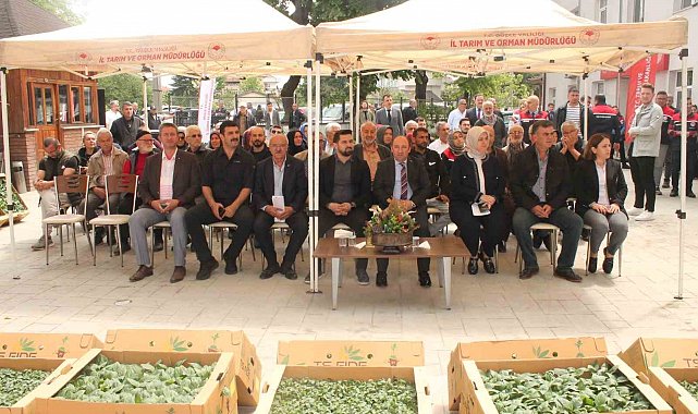 Atıl tarım arazilerinde sebze yetişecek