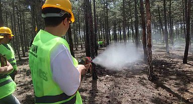 Avrupa Birliği destekli 'İnsan Kaynaklı Orman Yangınları' tatbikatı gerçekleştirildi
