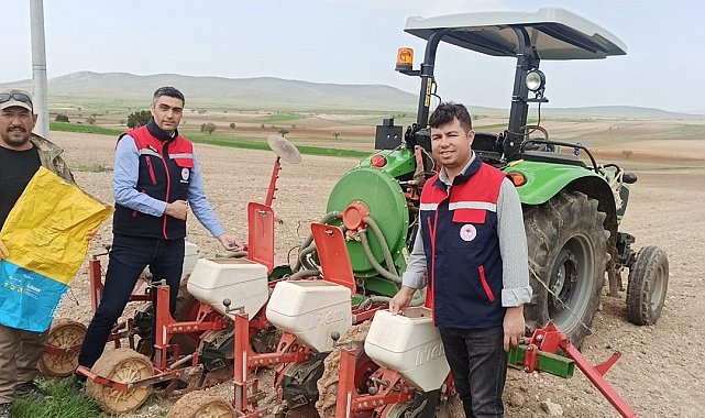 Ayçiçeği ekimlerini yerinde takip ediliyor