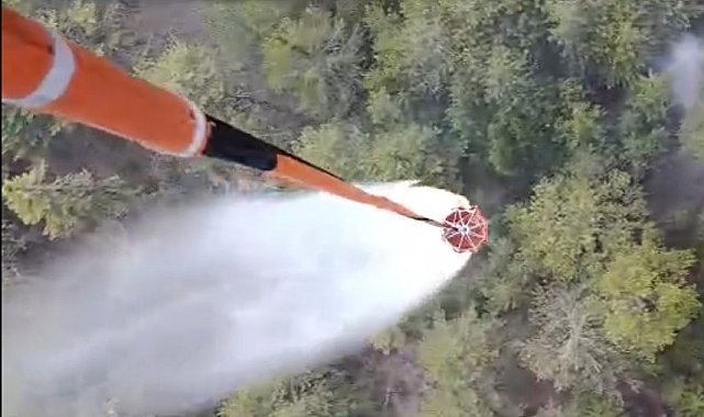 Aydın'daki orman yangını kontrol altına alındı