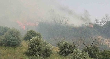 Aydın'daki yangın kontrol altına alındı