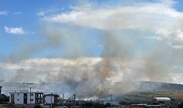 Ayvacık'ta otluk alanda başlayan yangın yerleşim yerlerine sıçramadan kontrol altına alındı