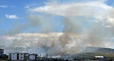 Ayvacık'ta otluk alanda başlayan yangın yerleşim yerlerine sıçramadan kontrol altına alındı