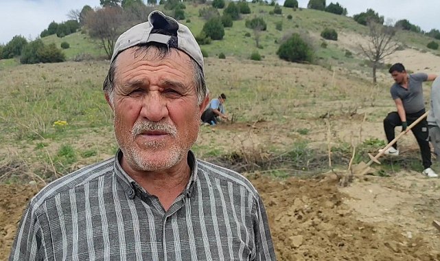 Bağlar elbirliğiyle belleniyor