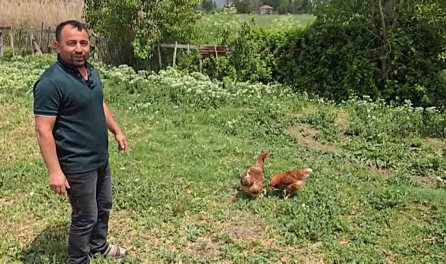 Bahçesine giren tilkiye böyle seslendi: "Kanun namına teslim ol"