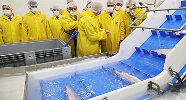 Bakan Kacır, bölgenin lokomotifi olacak su ürünleri işleme tesisini gezdi