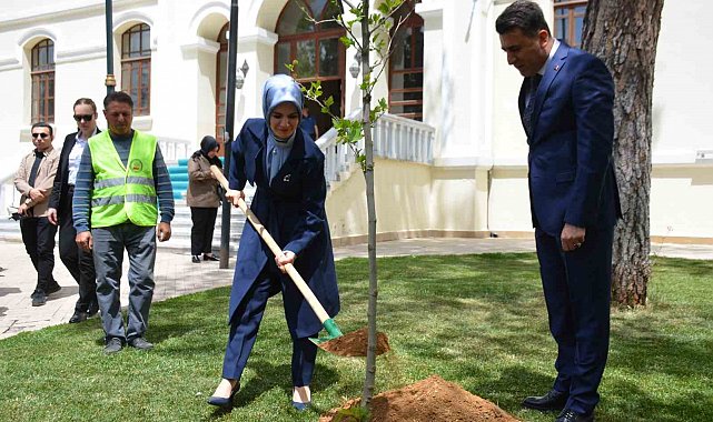Bakan Mahinur Özdemir Göktaş, Bilecik'te adına hazırlanmış yere çınar fidanı dikerek can suyu verdi