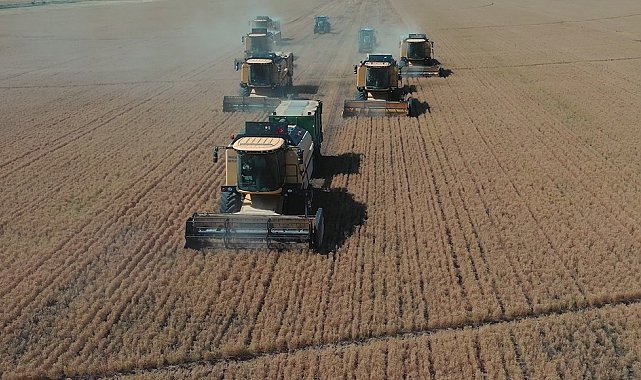 Bakan Yumaklı: "TİGEM Şanlıurfa Ceylanpınar Tarım İşletmesi'nde yılın ilk hasadına başlandı"