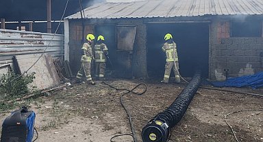 Balıkesir'de ahırda çıkan yangında 42 küçükbaş hayvan telef oldu