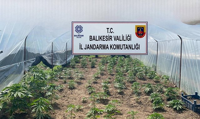 Balıkesir'de jandarmadan organize suçlara karşı geniş çaplı operasyon