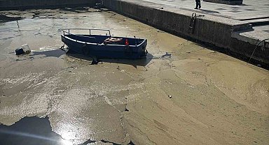 Bandırma ve Gönen sahillerinde müsilaj yüzeye çıktı