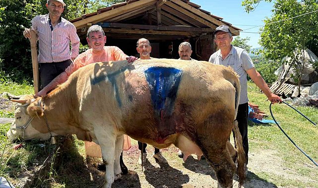 Bartın'da yüz binde bir görülen olay