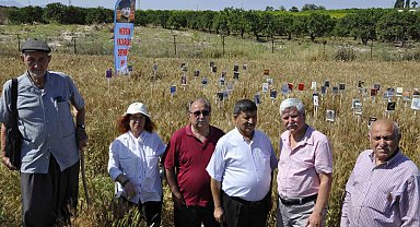 Başaklar kitap açtı