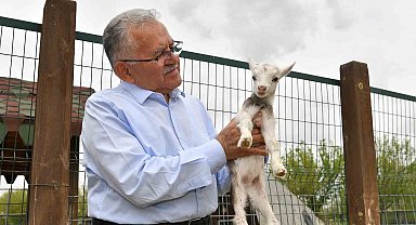 Başkan Büyükkılıç, hayvanat bahçesini ziyaret etti