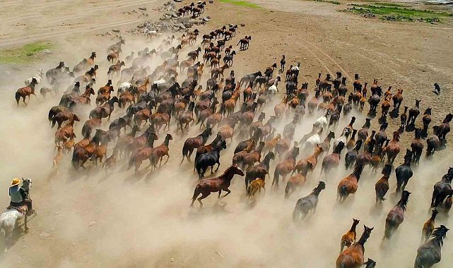 Başkan Büyükkılıç: "Hürmetçi Sazlığı'nda yatırımlar ile yeni bir dönem başladı"