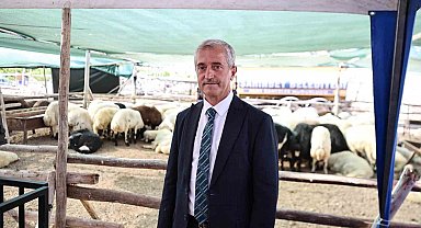 Başkan Tahmazoğlu: "Kurban Bayramı'nda fahiş fiyat artışlarına asla müsaade etmeyeceğiz"