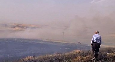 Batman'da 60 dönüm biçilmemiş buğday kül oldu