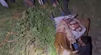 Batman'da derin çukura düşen ineği köylüler kurtardı