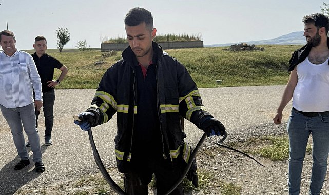 Batman'da tavan arasına giren yılan paniğe neden oldu