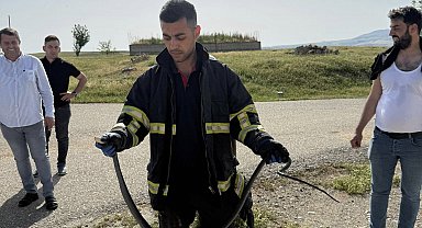 Batman'da tavan arasına giren yılan paniğe neden oldu