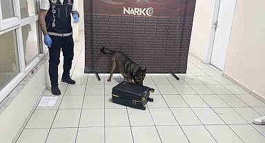 Batman'da uyuşturucu dolu valiz "Hektor"a takıldı