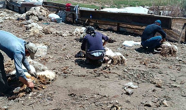 Batman'da yaylada kalan göçerler peynir üretiyor