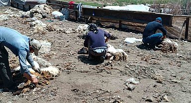 Batman'da yaylada kalan göçerler peynir üretiyor