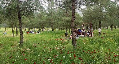 Batman'daki Malabadi Tabiat Parkı'na yoğun ilgi