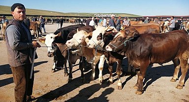 Bayburt'ta kurban kesim yerleri belli oldu