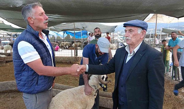 Bayram yaklaştı, kurban pazarında kıran kırana pazarlık başladı