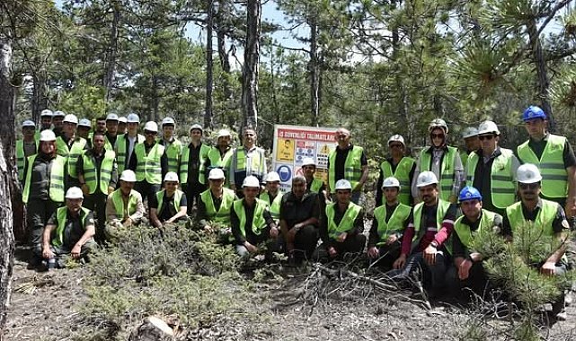 Beyşehir'de ormancılar ağaç kesim tekniklerini öğrendi