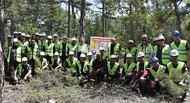 Beyşehir'de ormancılar ağaç kesim tekniklerini öğrendi
