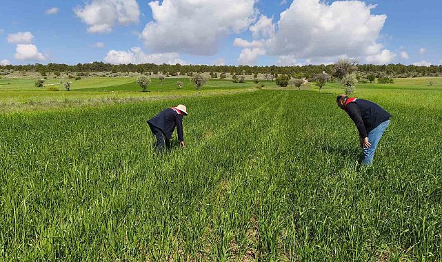 Beyşehir'in tarım alanları yakın takipte