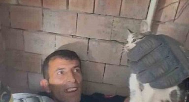 Bina boşluğuna düşen yavru kedi itfaiye ekiplerince kurtarıldı
